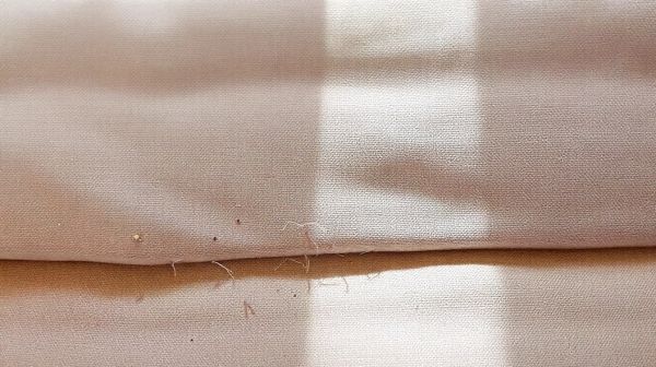 Top 5 astuces pour dénicher le nid de punaises de lit